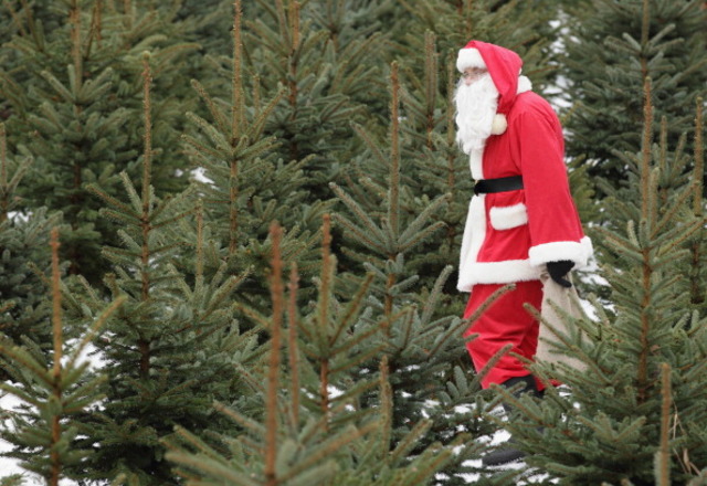 glen burnie getting ready for town center christmas tree glen burnie getting ready for town center christmas tree